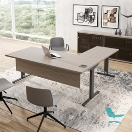 Alea - Ortho - Single Desk