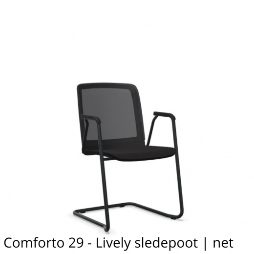 Haworth - Comforto 29 Guest Chair - Sled - Lively - Netbespanning