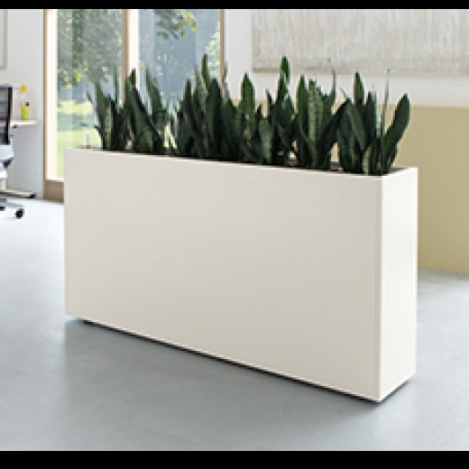 Palmberg - Flower Box